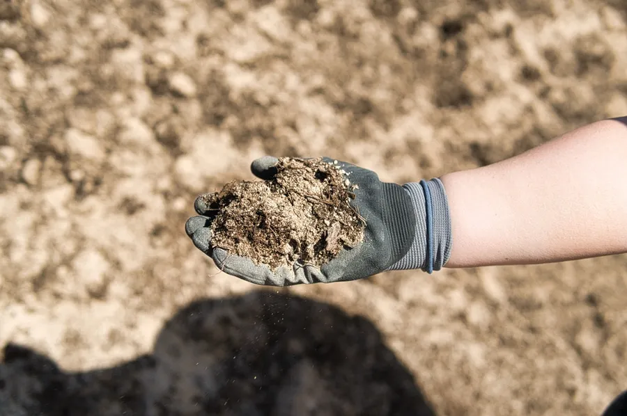 desert impact soil las vegas bulk landscape soil