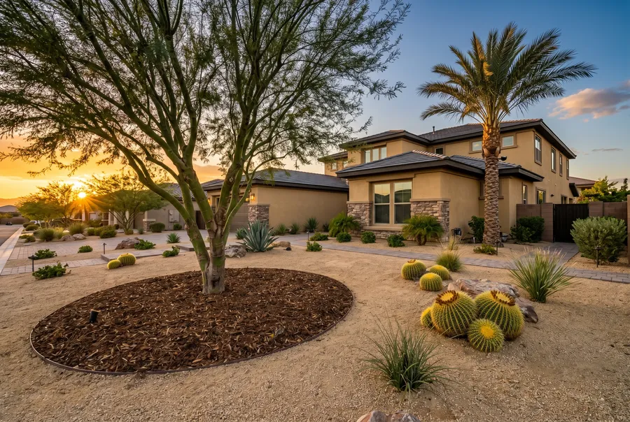 mulch ring around mature palo verde tree in las vegas xeriscape front yard