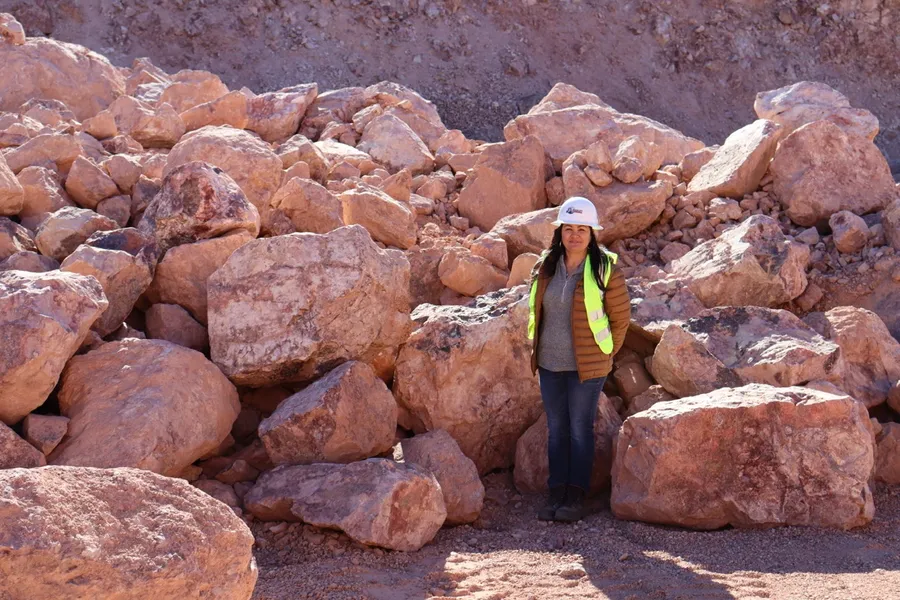 2+ feet landscape boulder las vegas